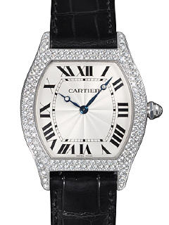 Cartier Tortue Watch WA503851