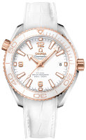 Omega Seamaster Planet Ocean 600m Co-Axial Master Chronometer 39,5 mm 215.23.40.20.04.001
