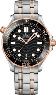 Omega Seamaster Diver 300 m Co-axial Chronometer 42 mm 210.20.42.20.01.001