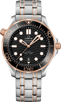 Omega Seamaster Diver 300 m Co-axial Chronometer 42 mm 210.20.42.20.01.001