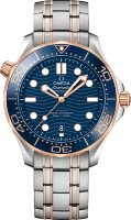 Omega Seamaster Diver 300 m Co-axial Chronometer 42 mm 210.20.42.20.03.002