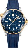 Omega Seamaster Diver 300 m Co-axial Chronometer 42 mm 210.22.42.20.03.001