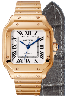 Santos De Cartier Watch WGSA0008