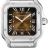 Santos De Cartier Watch WSSA0064