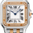 Panthere de Cartier W3PN0010