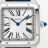 Cartier Santos-Dumont WSSA0085
