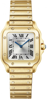 Santos De Cartier Watch WGSA0107