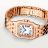 Panthere de Cartier WJPN0072