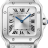 Santos De Cartier Watch WSSA0082