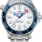 Omega Seamaster Diver 300 m 210.30.42.20.04.002