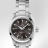 Seamaster Aqua Terra 150 m Omega Co-Axial 30 mm 231.10.30.20.06.001