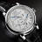 A. Lange & Sohne Richard Lange Perpetual Calendar Terraluna 180.026FE