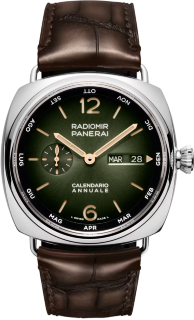 Officine Panerai Radiomir Annual Calendar Platinumtech PAM01364