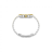 Chopard Alpine Eagle 33 298617-4001