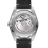 Omega Seamaster Railmaster 235.12.38.20.06.001