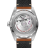 Omega Seamaster Railmaster 235.12.38.20.13.001