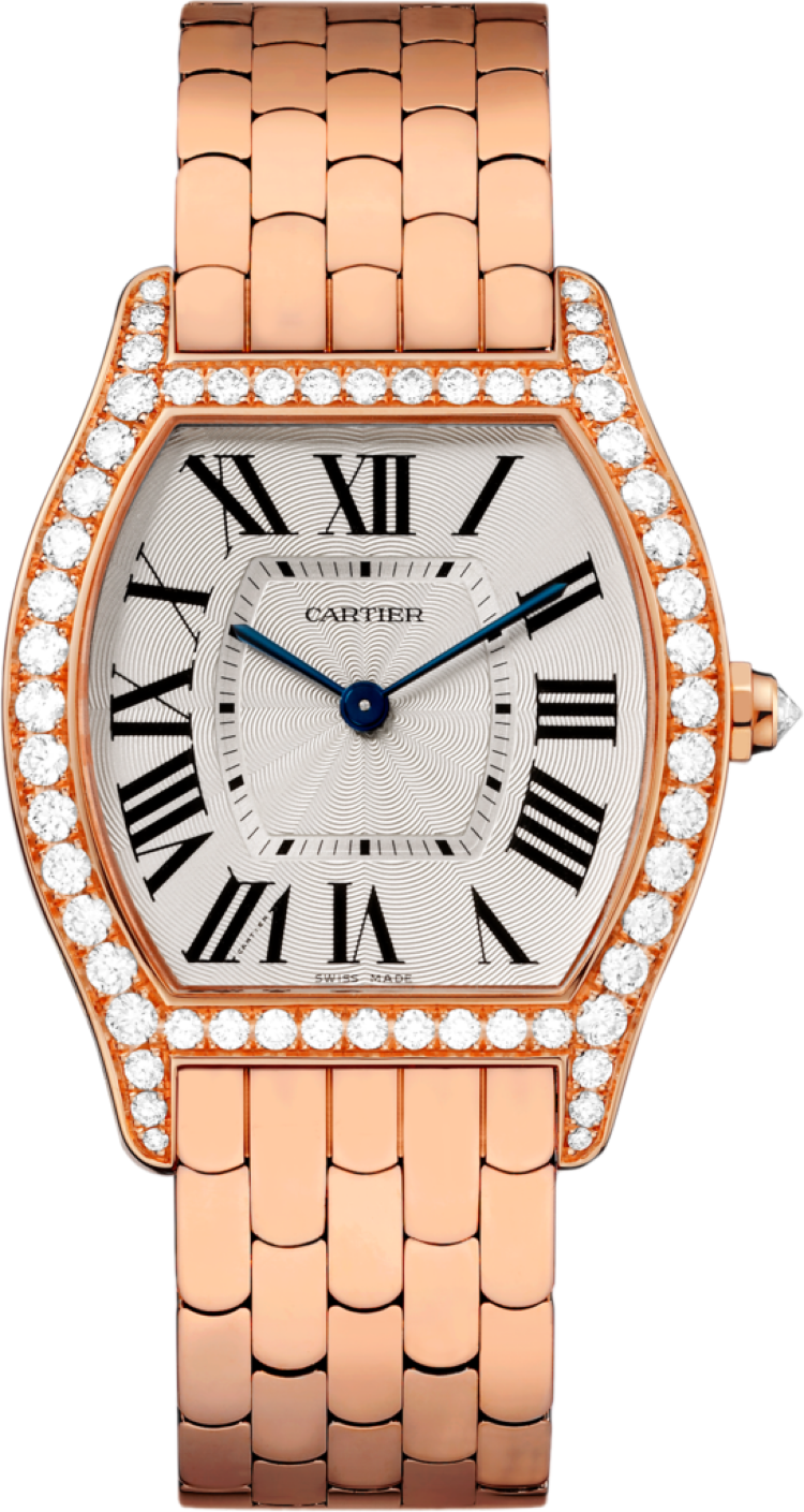 Cartier swiss. Rotonde de cartier, хронограф сталь. Cartier cc9008. Часы cartier w6701004. Cartier drive de cartier.