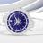 Harry Winston Premier Automatic 31 mm PRNAHM31WW005