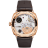 Officine Panerai Radiomir Perpetual Calendar GMT Goldtech PAM01453