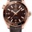 Omega Seamaster Planet Ocean 600m Master Chronometer Chocolate 215.63.40.20.13.001