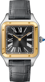 Santos de Cartier Dumont Le 14 Bis W2SA0015