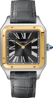 Santos de Cartier Dumont Le 14 Bis W2SA0015