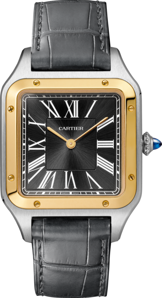 Часы Santos de Cartier Dumont Le 14 Bis 