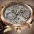 Patek Philippe Grand Complications Alarm Travel Time 5520RG-001