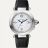 Pasha de Cartier Watch WSPA0015
