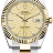 Rolex Datejust 41 Oyster Perpetual m126333-0021