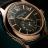 Patek Philippe Complications 5205R-011