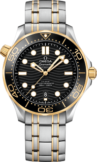 Omega Seamaster Diver 300 m Co-axial Chronometer 42 mm 210.20.42.20.01.002