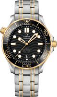 Omega Seamaster Diver 300 m Co-axial Chronometer 42 mm 210.20.42.20.01.002