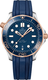 Omega Seamaster Diver 300 m Co-axial Chronometer 42 mm 210.22.42.20.03.002
