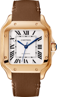 Santos De Cartier Watch WGSA0045