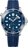 Omega Seamaster Diver 300 m Co-axial Chronometer 42 mm 210.32.42.20.03.001