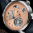 Glashutte Original PanoLunarTourbillon 1-93-03-01-03-61