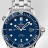 Omega Seamaster Diver 300 m Co-Axial 41 mm 212.30.41.20.03.001