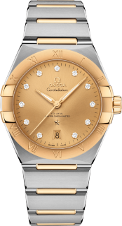 Constellation Omega Co-axial Master Chronometer 39 mm 131.20.39.20.58.001