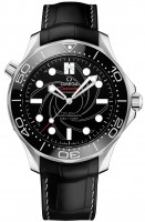 Omega Seamaster Diver 300 m Co-axial Master Chronometer 42 mm 210.93.42.20.01.001