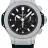 Hublot Big Bang Evolution Steel 301.SX.1170.GR