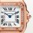 Panthere de Cartier Small Model WJPN0069