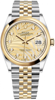 Rolex Datejust 36 Oyster Perpetual m126203-0043 Rolex Datejust 36 Oyster Perpetual m126203-0043