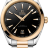 Omega Seamaster Aqua Terra 150 m 220.20.41.21.01.001