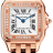 Panthere de Cartier Small Model WJPN0071
