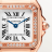 Panthere de Cartier Small Model WJPN0071