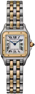 Panthere De Cartier Watch W2PN0018