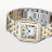 Panthere de Cartier W2PN0016