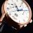 Glashutte Original Senator Chronograph Panorama Datum 1-37-01-01-05-30