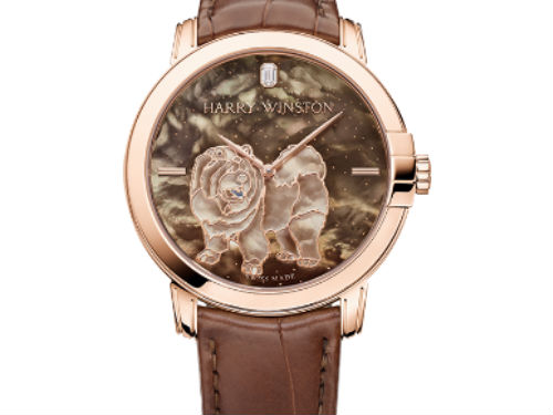 Уникальные издания от Часового Дома Harry Winston